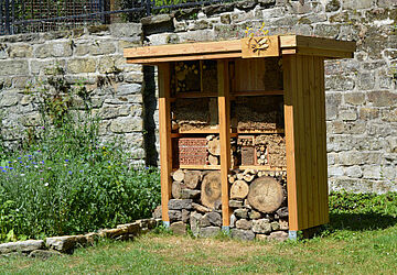 Sinnesnahe ErD-Lebnis-Orte