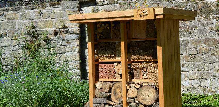 Sinnesnahe ErD-Lebnis-Orte